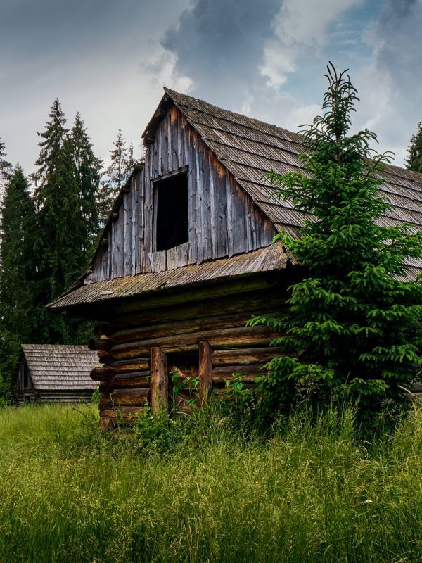 Dream Cabin