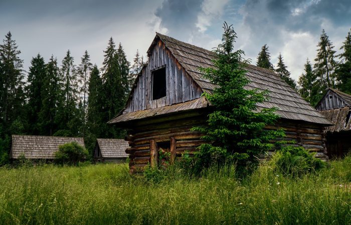 Dream Cabin